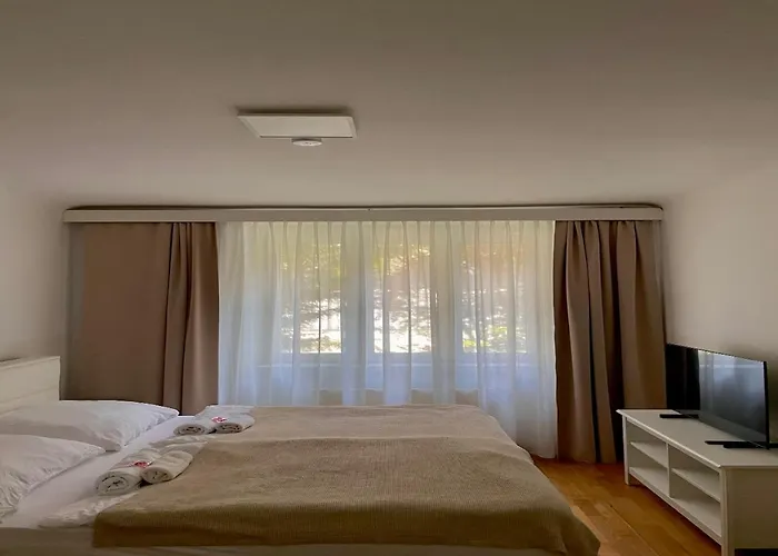 Apartment Mitte Wien